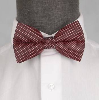 Бабочка мужская 0123